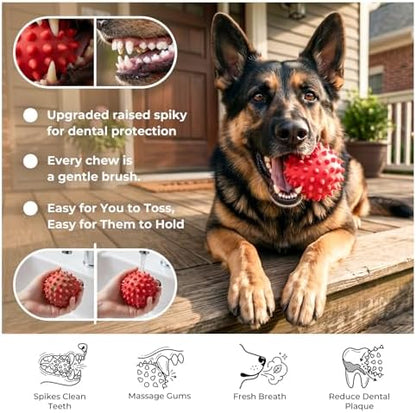 Beef-Flavored 3.5'' Tough Squeaky Ball for Dogs, 25-80lbs Pack of 2 - Image 5