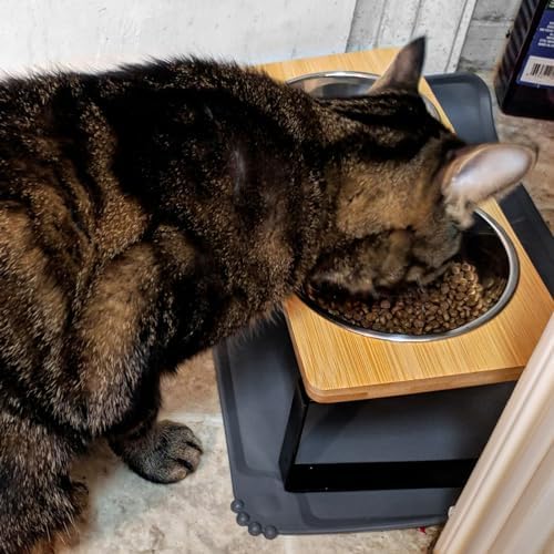 Elevated Whisker Friendly Cat Bowls, 15 Tilted Stand Anti Vomiting Raised Dishes for Food and Water, Stainless Steel Bowls for Cats and Puppy - Image 7