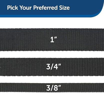 PetSafe Nylon Dog Leash - Strong, Durable, Traditional Style Leash with Easy to Use Bolt Snap - 1 in. x 6 ft., Black - Image 5
