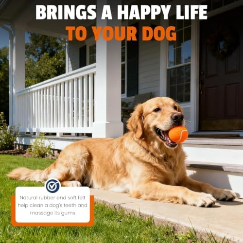 FURWEY Colorful Tennis Balls for Dogs, 2.5 inches, 8Pack, Non Squeaky - Image 6