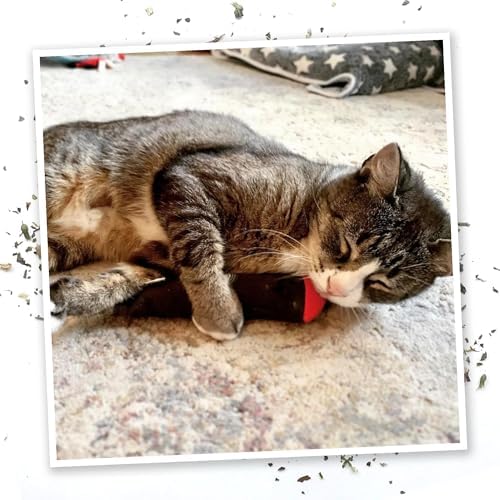 Meowijuana Catnip Cigar Cat Toy | Catnip & Valerian Root Plush Toy - Image 5