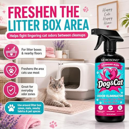 Pet Odor Eliminator Spray, Enzymatic Cleaner for Dog & Cat Urine, Carpet, Furniture & Litter Box, Lavender, 16 oz - Image 5