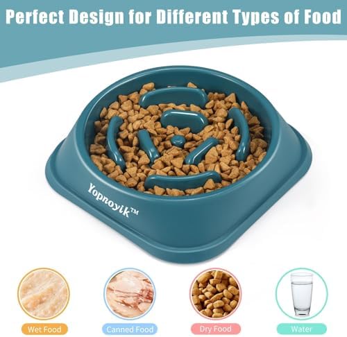 Slow Feeder Dog Bowls for Medium Dogs & Cats - Image 4