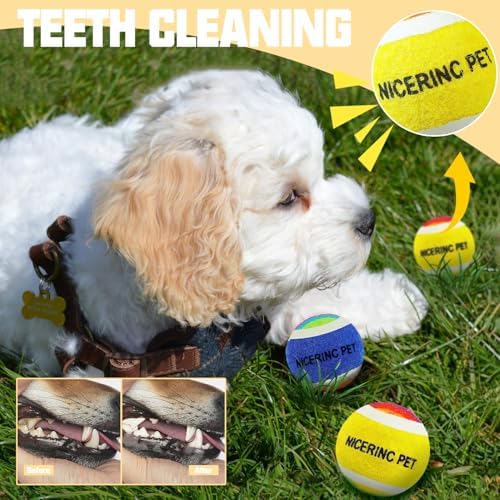 X-Small Dog Tennis Balls Dog Toys Ball 1.5" Pack of 12, Fit Ball Launchers - Image 3