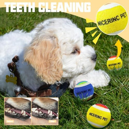 X-Small Dog Tennis Balls Dog Toys Ball 1.5" Pack of 12, Fit Ball Launchers - Image 3