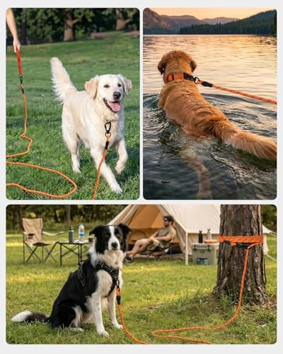 Joytale Long Dog Leash for Yard Tie Out & Recall Training, Orange, 30FT - Image 6