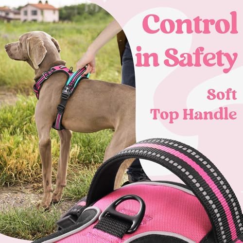 rabbitgoo Dog Harness for Large, Updated Easy On & Off with 3 Buckles - Image 4