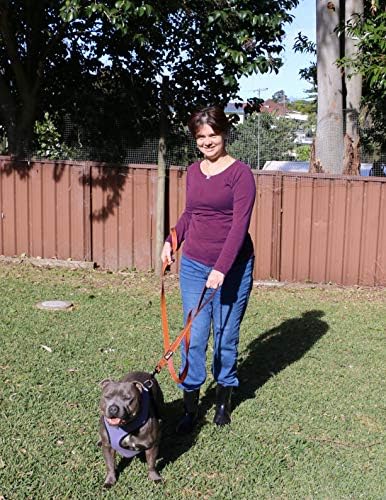 Primal Pet Gear Dog Leash 6ft Long,Traffic Padded Two Handle,Heavy Duty,Reflective Double Handles Lead for Control Safety Training,Leashes for Large Dogs or Medium Dogs,Dual Handles Leads(Orange) - Image 4