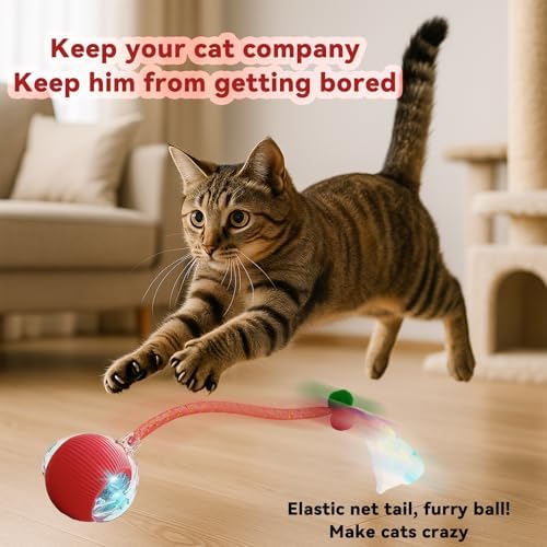 Speedy 2.0 Tail Interactive Cat Toys for Indoor Cats, Automatic Cat Toy with Elastic Mesh Tail, Electric Rolling Ball on Carpet, Chirping and Motion Activate Cat (Red) - Image 2