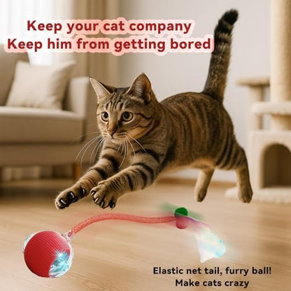 Speedy 2.0 Tail Interactive Cat Toys for Indoor Cats, Automatic Cat Toy with Elastic Mesh Tail, Electric Rolling Ball on Carpet, Chirping and Motion Activate Cat (Red) - Image 2