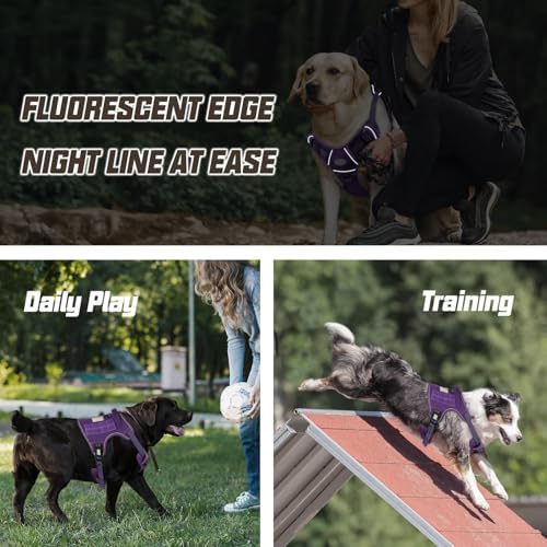 AUROTH Tactical Dog Harness Medium Sized Dog No Pull Adjustable Dog Vest - Image 5