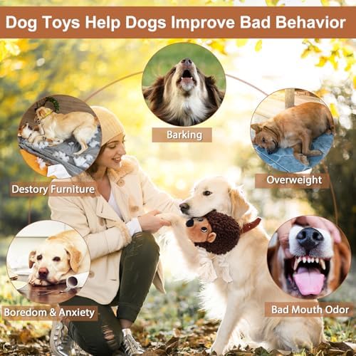 Dog Squeaky Toys for Dogs - Hedgehog Mop Plush Interactive Rope Toy, Durable Chew Toy with Squeaker and Crinkle for Small to Large Dogs, Tug of War Pet Toy for Puppies & Aggressive Chewers - Image 4