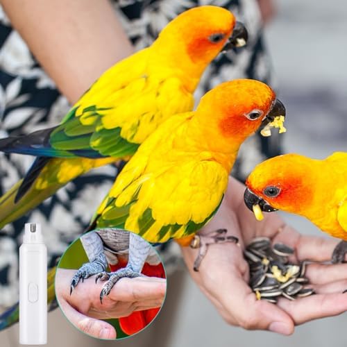 Lasnten 2 Pcs Bird Nail Grinder with Clipper Bird Nail Trimmer File Pet Grooming Tool for Parrot Budgerigars Parakeets Myna Conure Finches Lovebirds(White) - Image 2