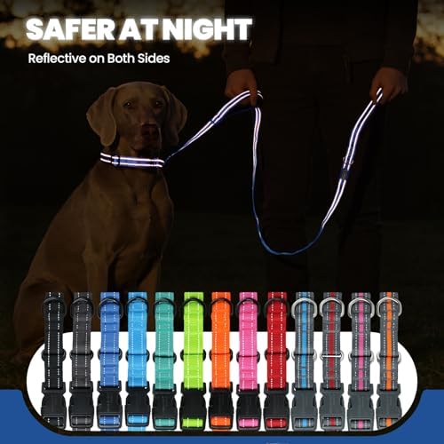 VIVAGLORY Double Handle Dog Leash Twingrip, 5ft x 1in, M, Navy - Image 5