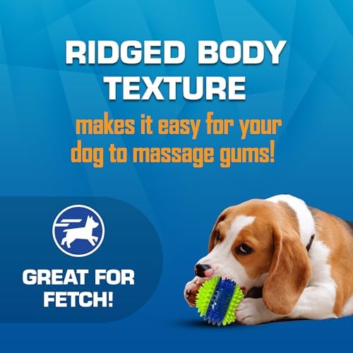 Nerf Dog Toy Gift Set, 3-Piece Set of Outdoor Dog Toys for Fetch, Includes Checker Crunch Ball, Spike LED Squeak Ball and Tire Squeak Football - Image 2