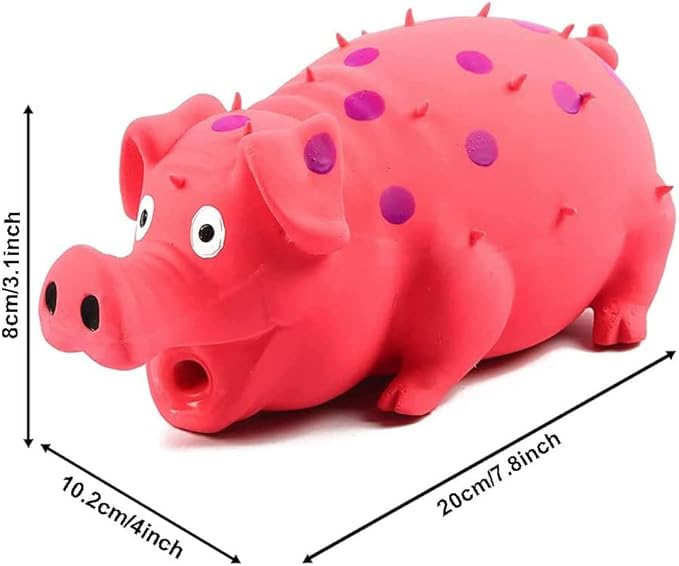 Squeaky Pig Dog Toys, 2 Pack Grunting Pig Dog Toy That Oinks Grunts for Small Medium Large Dogs, Grunting Pig Sound Play Dog Toy