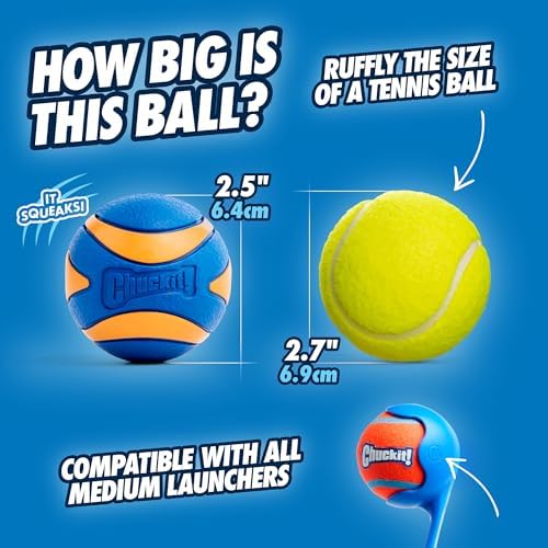 Chuckit! Ultra and Squeaker Ball Dog Toy, Medium 2.5in, 3 Pack, Floats - Image 5