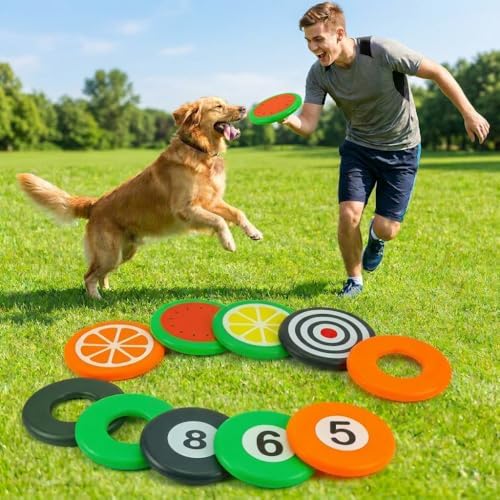 Dog Flying Disc Lightweight, Pets Dog Flying Disc, Floating Water Dog Toy, Dog Launchers Toy, The Best Gift for Your Lovely Pet - Image 3