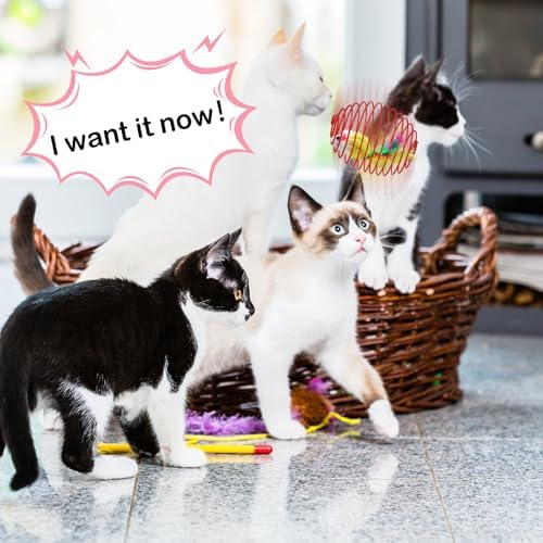 Jecery 5 Pcs Cat Toys Spring,Cute Mouse,Bright Color - Image 4