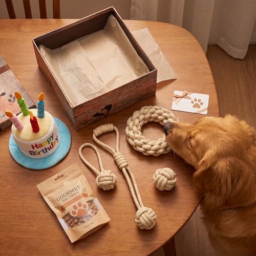 4 Pack Dog Rope Toys for Small Dogs, Heavy Duty Puppy Teething Sturdy Cotton Chew Tug Ropes, Tough Interactive Tug Pull Rope for Dogs, Teeth Cleaning - Image 7
