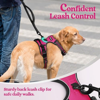 rabbitgoo Dog Harness, No Pull Medium Sized with 2 Leash Clips, Pet Vest - Image 6