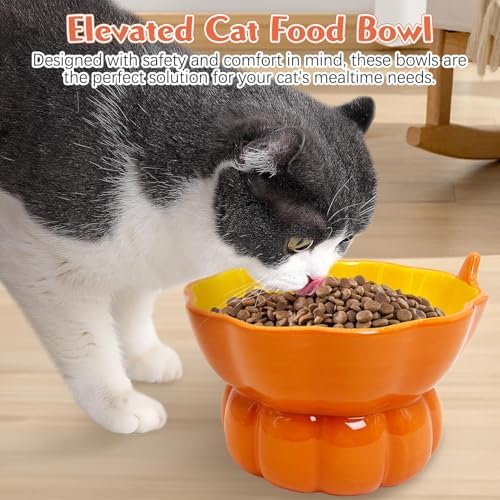 Hamiledyi Ceramic Raised Cat Bowl Tilted 15° Elevated Cat Bowl for Food or Water Anti Vomiting and Whisker Fatigue Cute Pumpkin Shaped Pet Feeder Bowl for Indoor Cats Kitten and Dogs (Orange Pumpkin) - Image 3