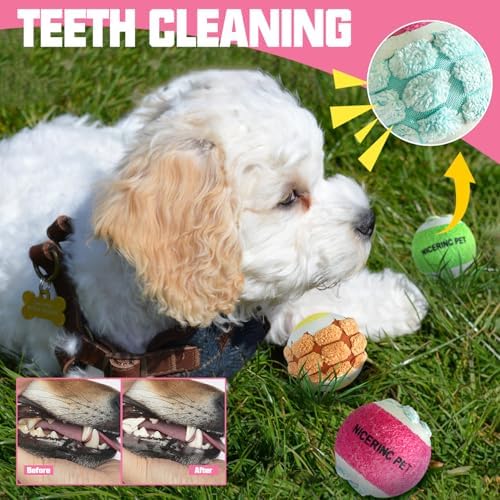 X-Small Dog Tennis Balls Dog Toys Ball 1.72" Pack of 12, Fit Ball Launchers - Image 3