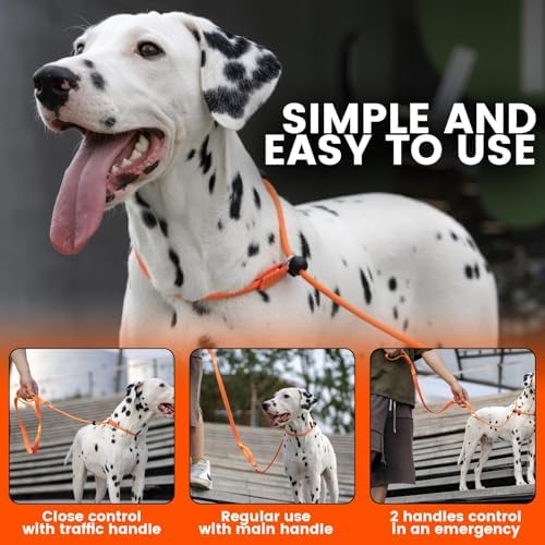 HowGo Slip Lead Dog Leash with 2 Spring-Loaded Stoppers (Orange 3.6FT) - Image 2