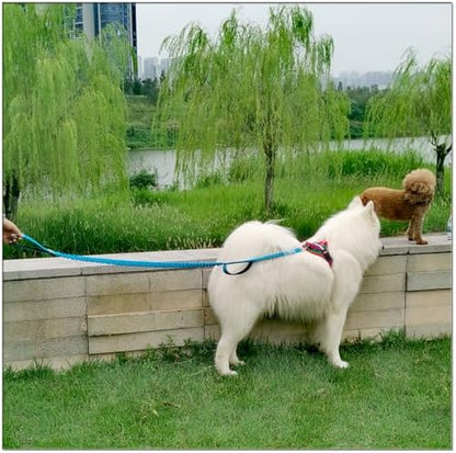 5FT Bungee Dog Leash with 2 Handles, Reflective Nylon Traffic Leash - Image 6