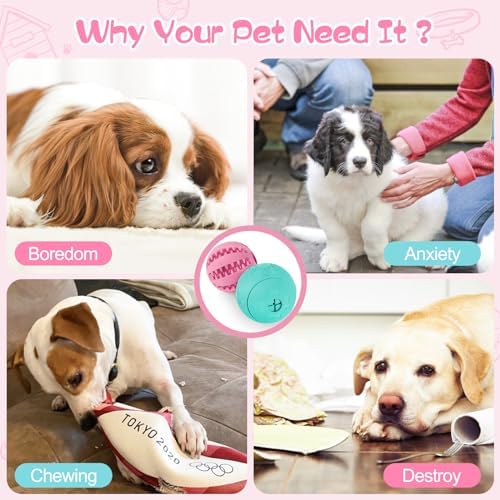 HIPPIH Dog Puzzle Toy 2 Pack, Interactive Dog Toys for Treat Dispensing - Image 3