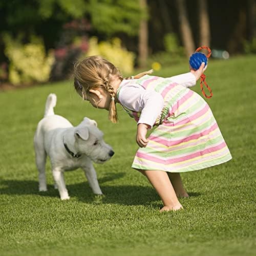K9 Training Ball with Rope - Indestructible Dog Toy for Training, Pull, Throw, Tug and Fetch - Belgian Malinois Gifts (Blue) - Image 5