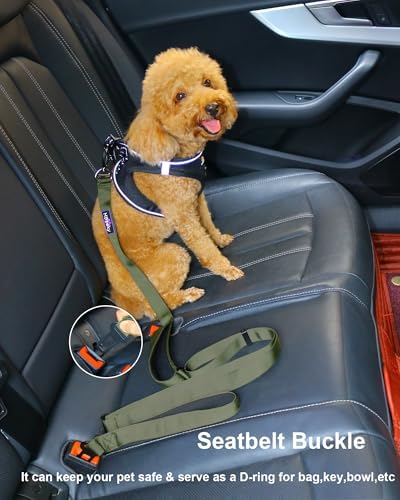 Hotsky Heavy Duty Double Handle No Bungee Dog Leash,ArmyGreen,4.5-6 FT - Image 5
