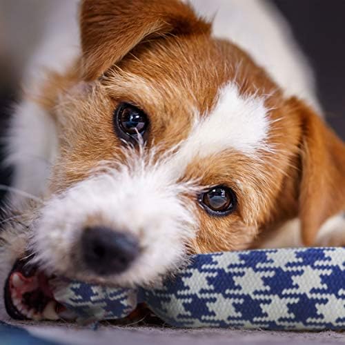 rocket & rex Puppy Tug Rope Toys for Small Dogs, Teething (4pk) - Image 6