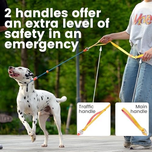 HowGo Slip Lead Dog Leash, 360°Swivel Anti-Tangle (Multicolor 5.5FT) - Image 3