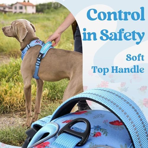 rabbitgoo Dog Harness Medium Sized, Updated Easy On & Off with 3 Buckles - Image 5