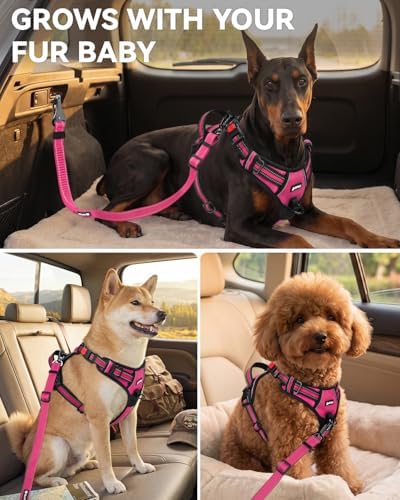 Joytale 3-in-1 Bungee Dog Seat Belt for Car, Medium and Large Dogs, Hotpink - Image 6