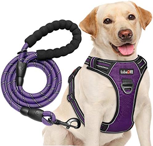 tobeDRI No Pull Dog Harness Adjustable Reflective Oxford Easy Control Medium Large Dog Harness with A Free Heavy Duty 5ft Dog Leash, Purple, XL by tobeDRI