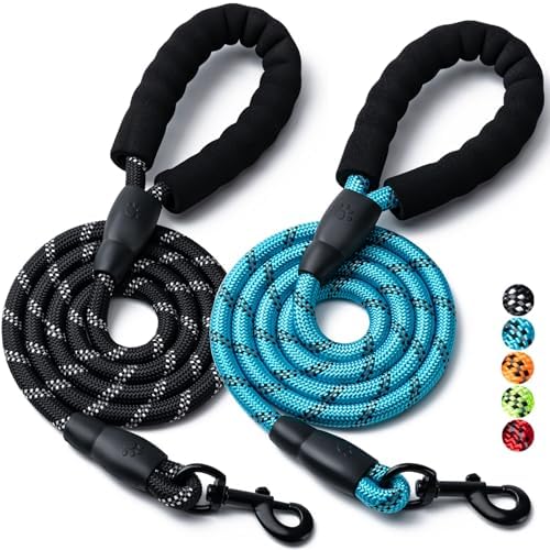2 Pack Dog Leash, Heavy Duty Nylon Rope Pet Leashes(6FT-3/8,Black/Blue) by BOOMIBOO
