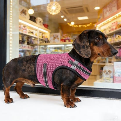 Mini Dachshund Harness – No Armpit Rub, Escape Proof, Reflective, No Pull Vest-Style Dachshunds Harness,Breathable Mesh Dog Harness (Rose Red, M: Chest 42-52cm (16.5"-20.5")) - Image 5