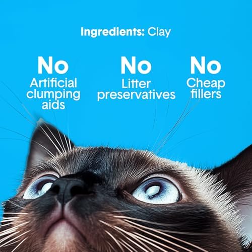 Boxie Premium Unscented Clumping Cat Litter 30+ Day Odor Control 28 lb - Image 4