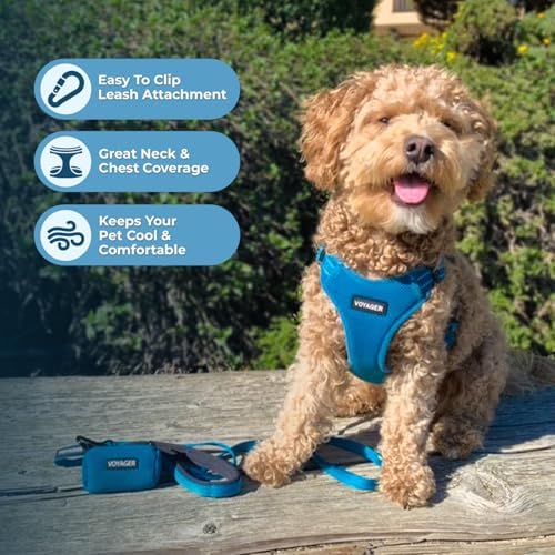 Best Pet Supplies Voyager Adjustable Step-in Flex Breathable Mesh Dog Harness for Small Medium Large Dogs Leash Set (Turquoise), XS - Image 5
