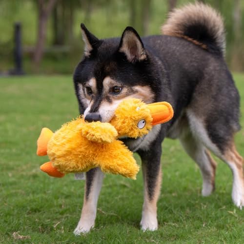 Best Pet Supplies Squeaky Plush Dog Toy - Ducky Doodle, Small - Image 6