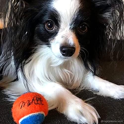 Midlee Squeaky Mini Tennis Ball for Dogs 1.5"- Pack of 12 (Orange/Blue) - Image 4