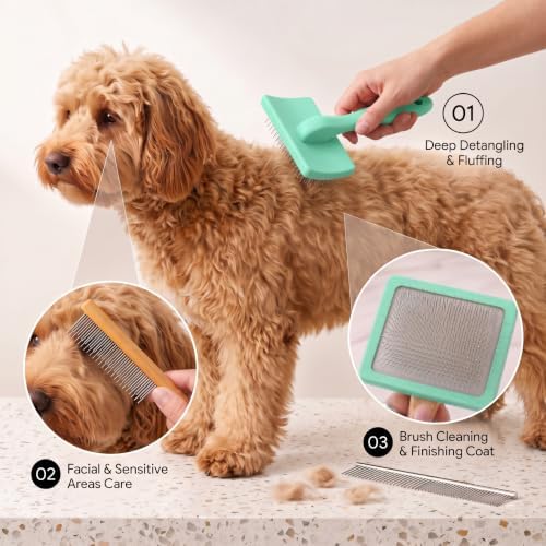 Slicker Brush for Dog, Doodles, Poodles & Long Haired Cats, Green - Image 2