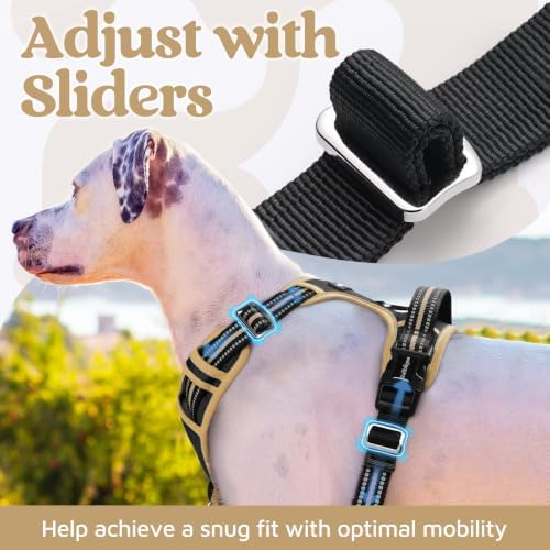rabbitgoo Dog Harness for Large, No Pull 3 Buckles Easy On & Off - Image 5