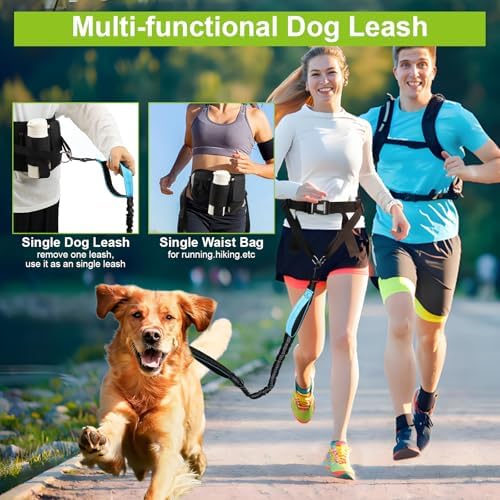 Hands Free Dog Leas, Double Waist Leash for Two Dog Walking (Blue) - Image 2