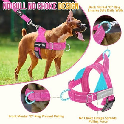 SlowTon No Pull Dog Harness and Leash Set - Heavy Duty, Soft Padded - Image 2