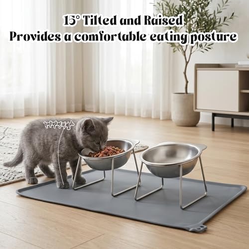Elevated Cat Bowl with Food Mat - 2 Pack 15°Tilted Stand Raised Bowl, Stainless Steel Whisker Friendly Anti Vomiting Food Water Dishes, Silicone Feeding Mat for Cats Puppy Kitten Small Dog - Image 3