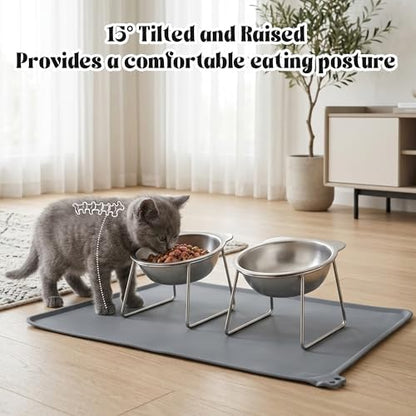 Elevated Cat Bowl with Food Mat - 2 Pack 15°Tilted Stand Raised Bowl, Stainless Steel Whisker Friendly Anti Vomiting Food Water Dishes, Silicone Feeding Mat for Cats Puppy Kitten Small Dog - Image 3