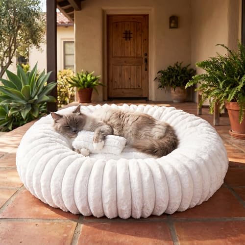 Donut Pet Bed for Indoor Cats and Small Dogs, Self-Heating Dog Bed with Non-Slip Bottom, Winter Comfort Dog Beds for Puppies, Washable & Portable Egg Tart Shape (S) Small cat Bed self Warming by Unknown